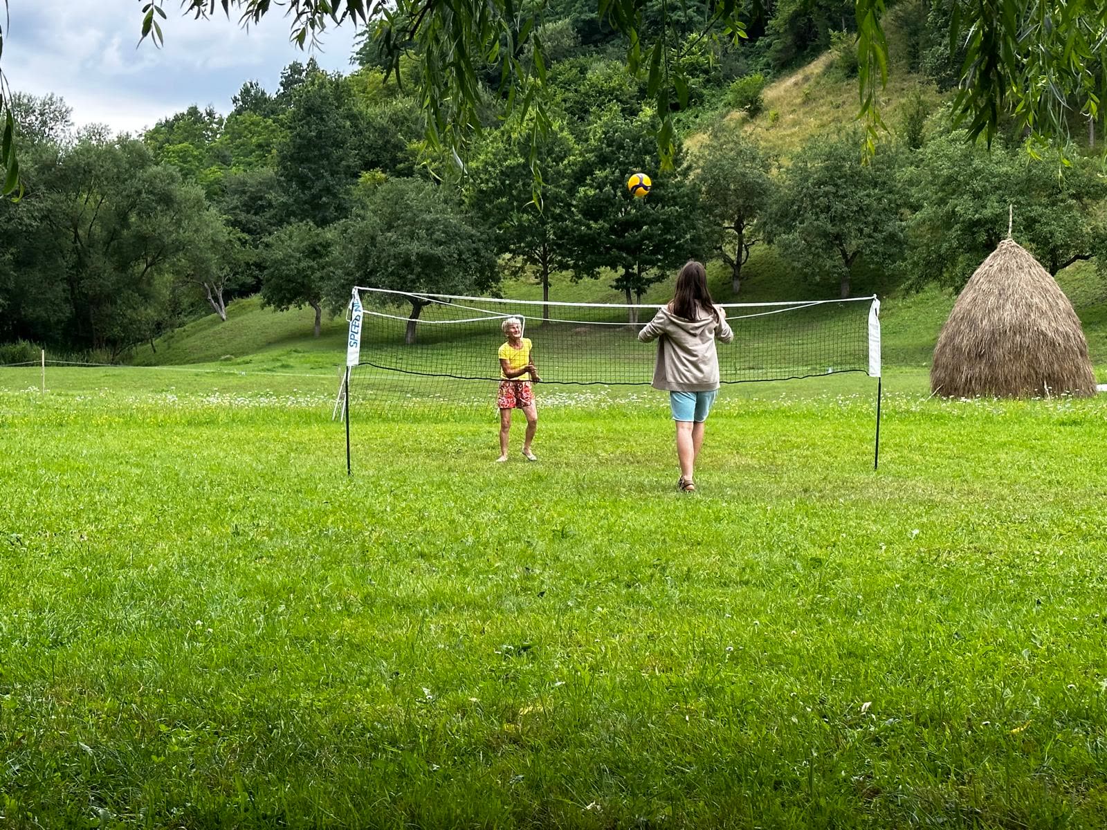 Volei pe iarba din livadă, lângă căpița de fân