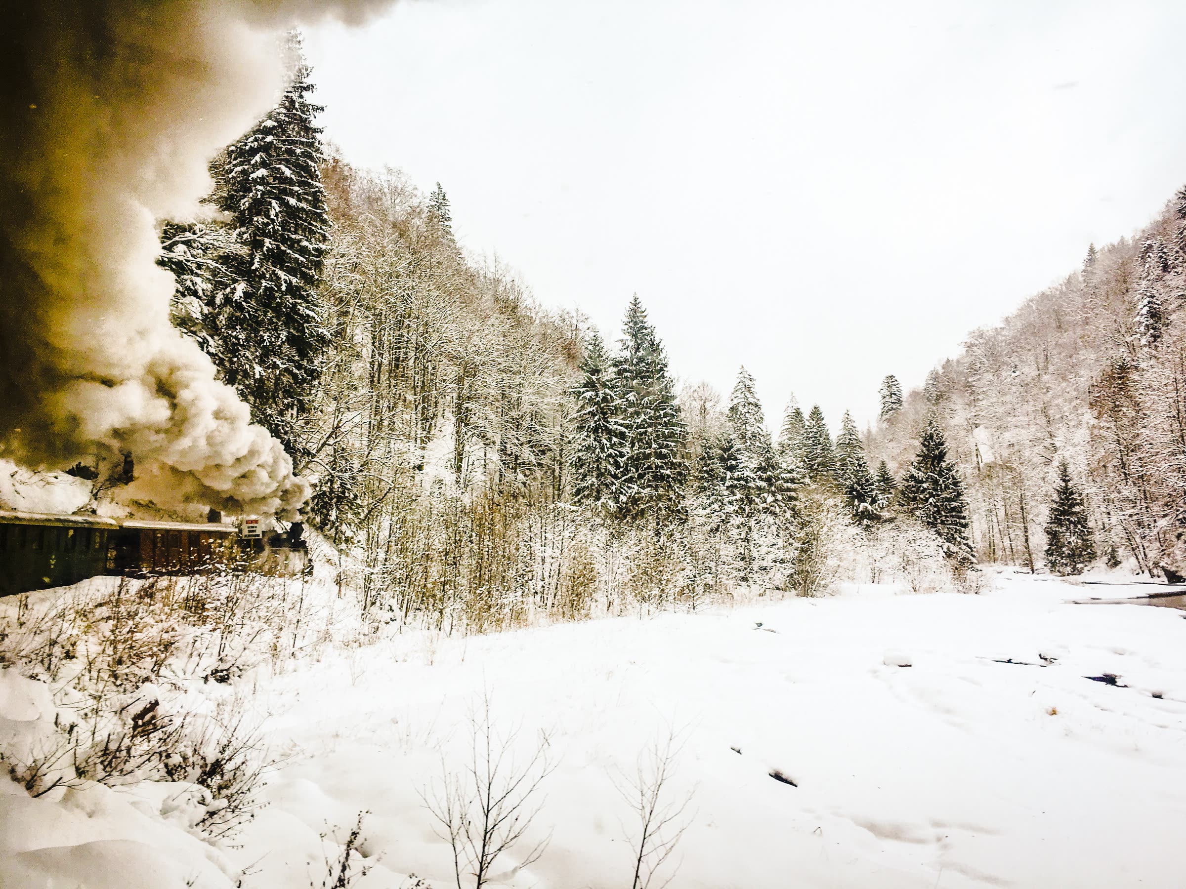 Mocănița, trenul forestier cu aburi, pufăind printr-o vale înzăpezită de pe Valea Vaserului